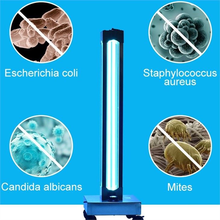 Beweglicher UV-Licht-Sterilisator